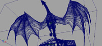 dragon23wire_copy.jpg