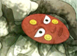 鹫