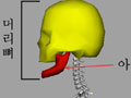 <b>[öƩ]Mayaĳ͸ Ʃ丮- 5</b>